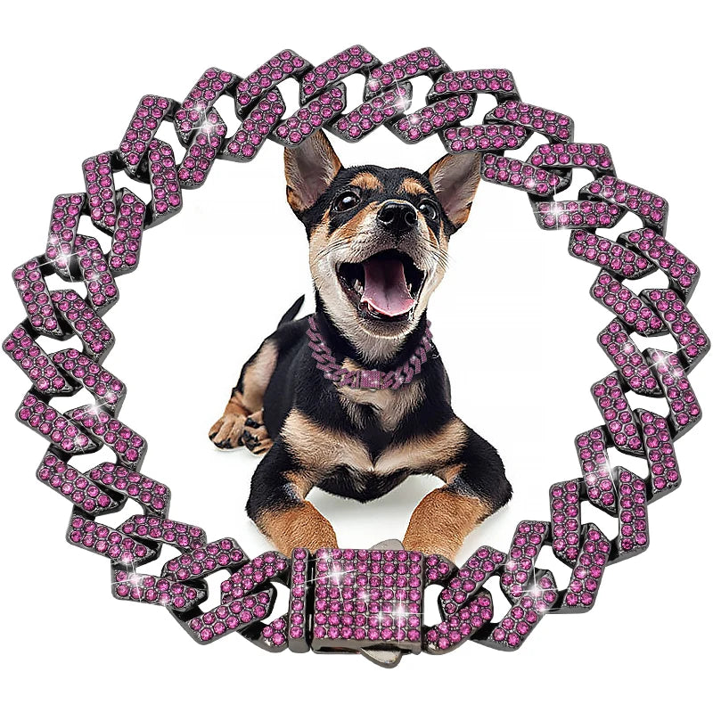 Collier cubain de luxe en diamant pour chiens et chats