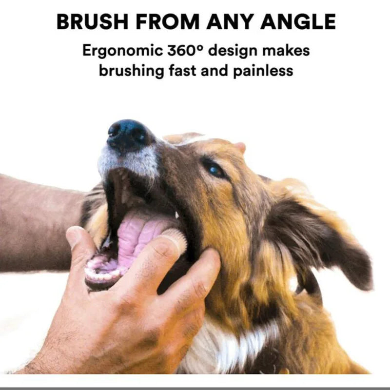 Brosse à dents en silicone 360° pour chiens et chats